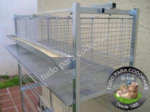 Bateria de 4 Gaiolas para CodornÃ£o (Codorna Gigante) PadrÃ£o Industrial, cap. mÃ¡xima 120 aves, 30 por Gaiola, distribuÃ­das 10 por divisÃ£o,- Detalhe lateral da Gaiola e inclinaÃ§Ã£o do piso