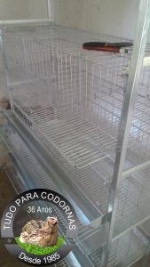 Bateria para CodornÃ£o(Codorna Gigante) capacidade mÃ¡xima 120 aves - Detalhe frontal